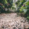 building-path-on-a-budget Smart Tips for Building Garden Paths on a Budget